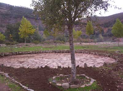 Arrolobos