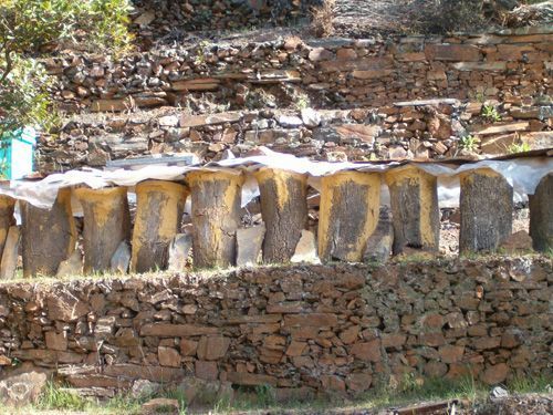 Colmenas de corcho de Las Hurdes